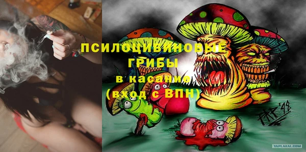 МДМА Новодвинск