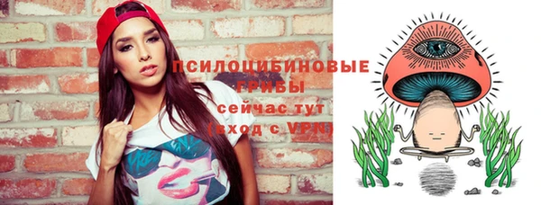 МДМА Новодвинск